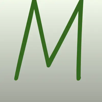 Manas Motors, автомойка, лого-визитка